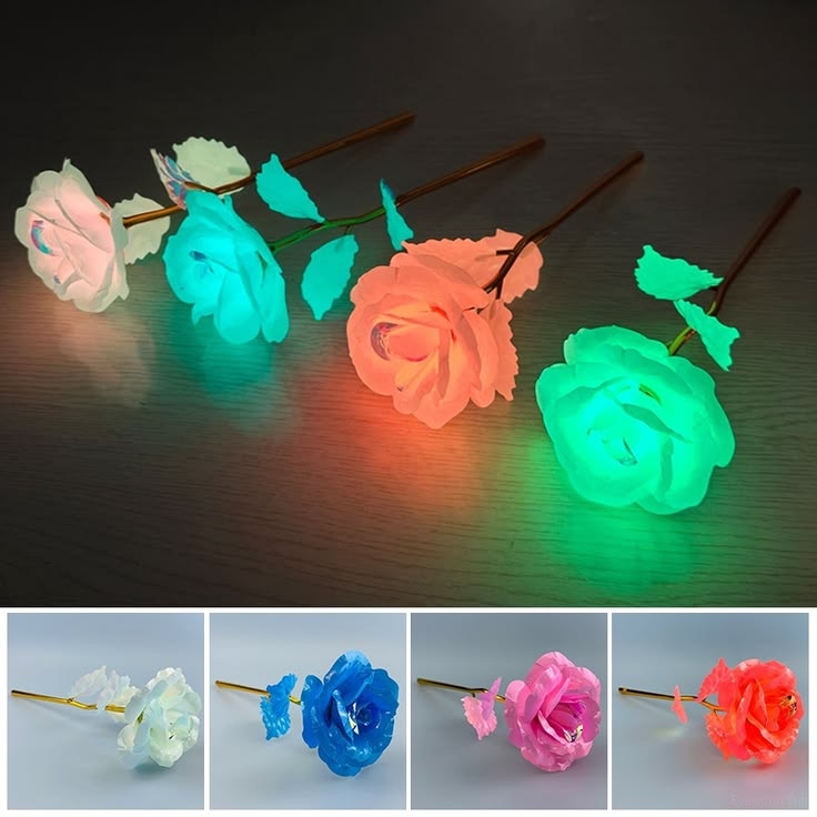 Rosas LED incluidas en todos los shows
